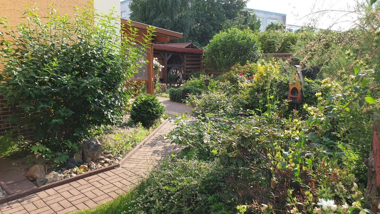 Haesselhof - 80Qm Ferienwohnung Im Zentrum Von 바트 리벤베르다 외부 사진